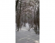 Real Estate Listing  Lot 8 Rocky Creek Wa Ottawa